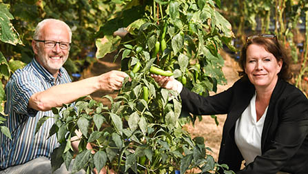 Herr Böning und Frau Giss stehen neben einer Spitzpaprikapflanze mit grünen Früchten. Er ist ein älterer Mann mit Halbglatze, sie hat schulterlange braune Haare.